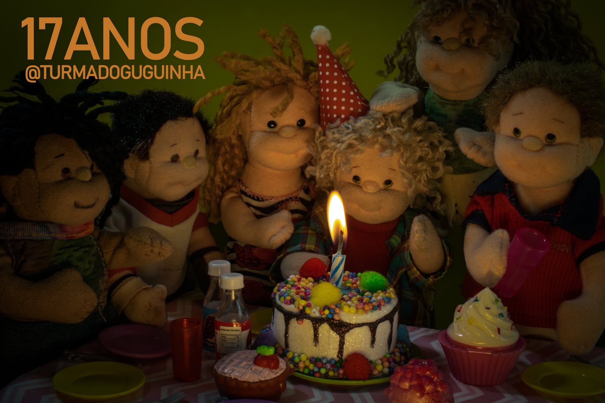 Guguinha Aniversário de 17 Anos